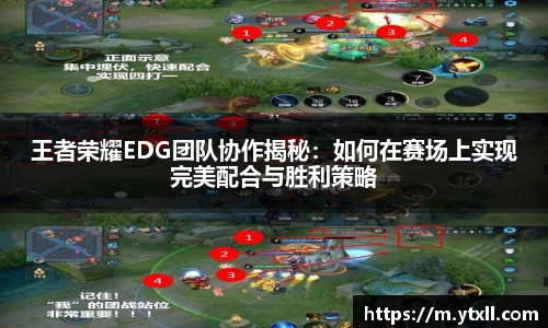 王者荣耀EDG团队协作揭秘：如何在赛场上实现完美配合与胜利策略